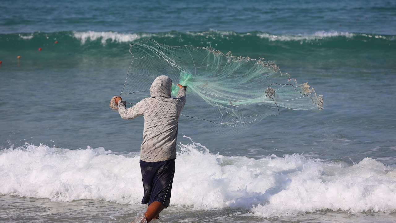 Read more about the article Rebuilding Gaza’s fisheries hinges on peace and safe access