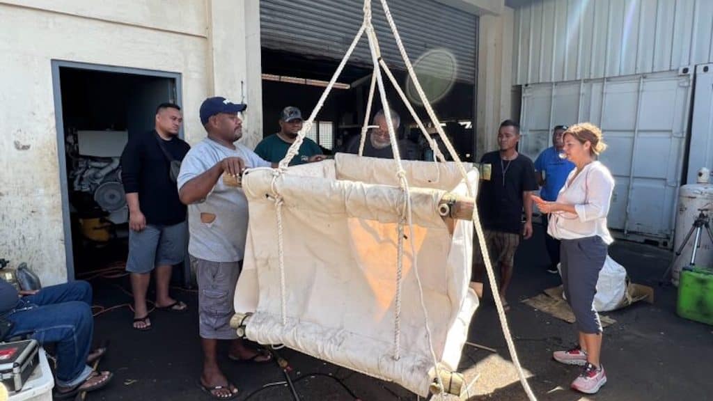 Read more about the article Jelly FAD trials enter new phase