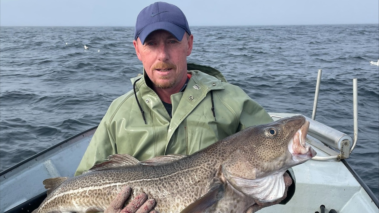 Read more about the article Demands for fair and sustainable management in Canada’s Northern Cod Fishery