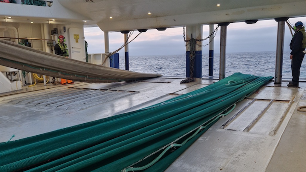 Read more about the article Flexible excluder could replace rigid sorting grid