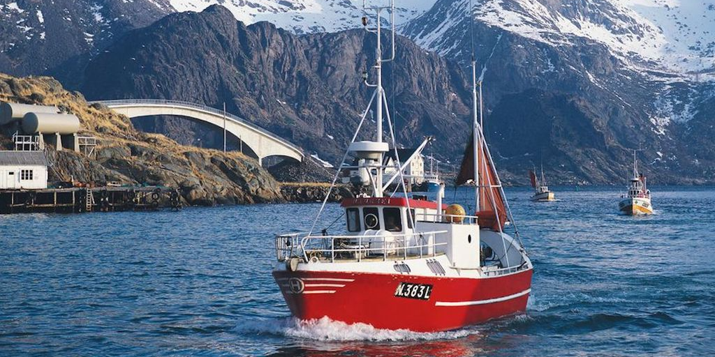 Read more about the article Sharing fishing data to support research