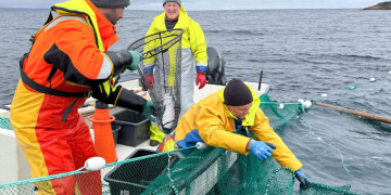 Waiting for answers on invasive salmon fishery