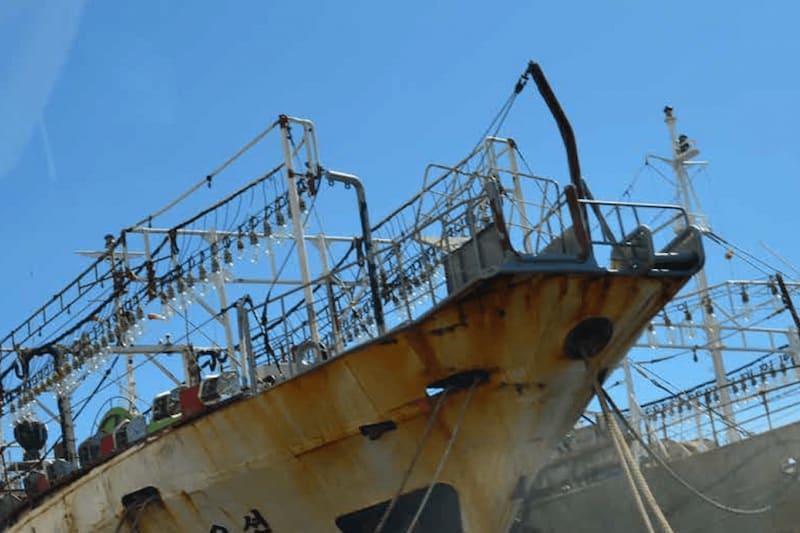 Read more about the article Chinese fleet targets unregulated squid fishery