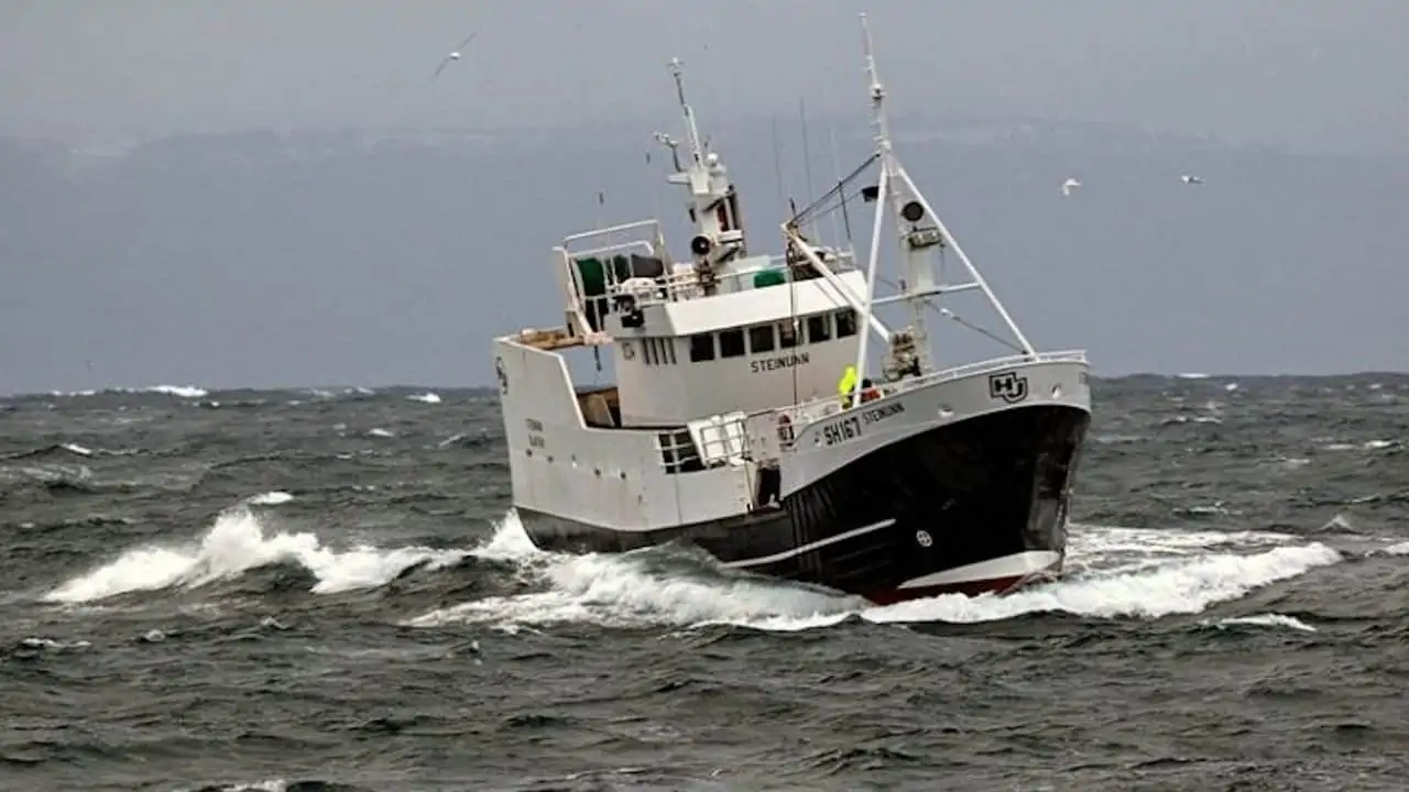 Read more about the article FISK Seafood buys into Steinunn hf