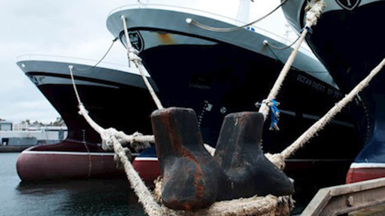 Read more about the article Support tomorrow’s seafood industry today