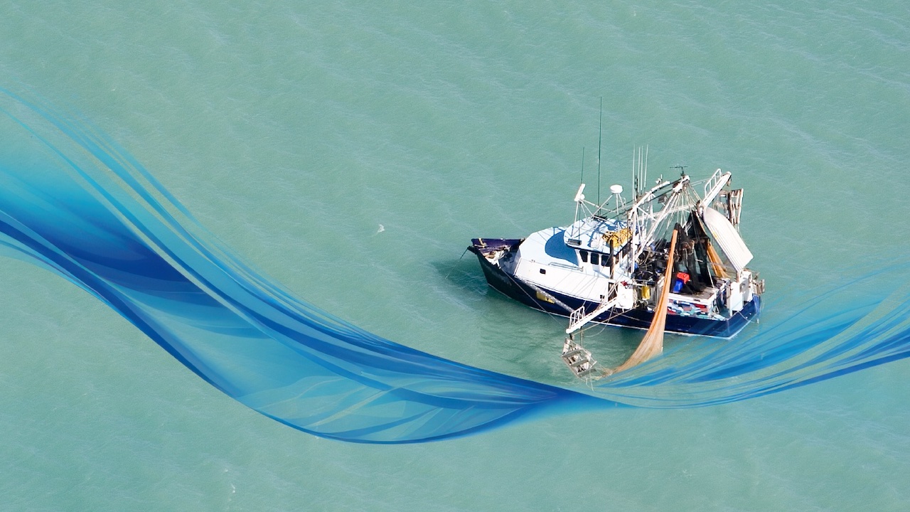 Read more about the article Shared collaboration space for Australia’s commercial trawl sector