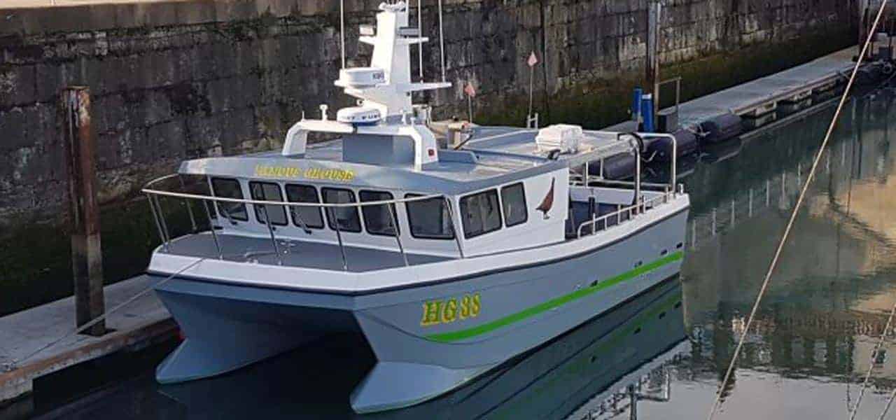 Read more about the article Cougar cat for Hirtshals