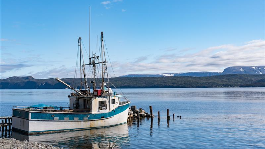 Read more about the article Sea cucumber harvesters hit by Chinese tariffs