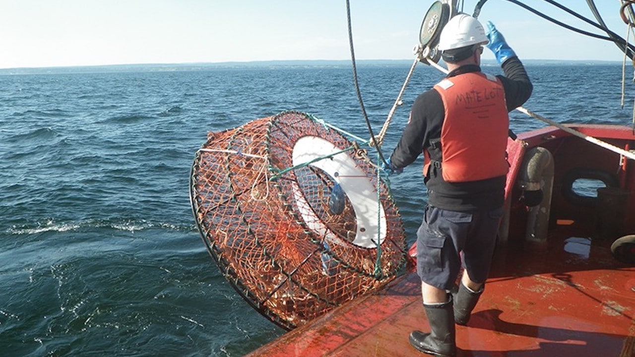 Read more about the article Operation Ghost recovers traps and rope from the Gulf of St. Lawrence