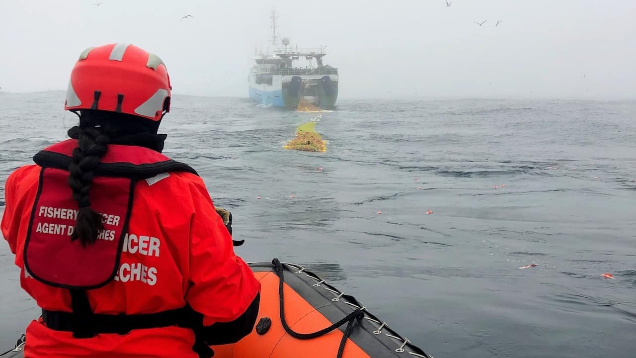 Read more about the article Auditor slams Fisheries and Oceans Canada