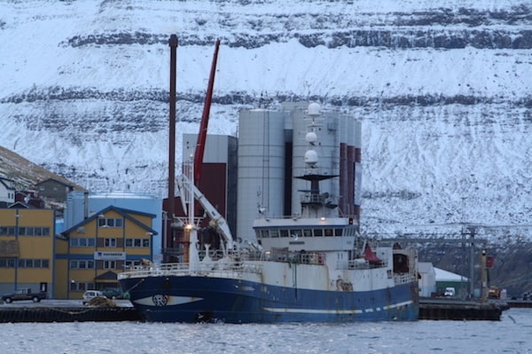 Read more about the article Faroese blue whiting quota set