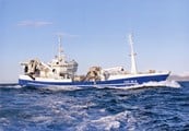 Read more about the article Conditions uncertain for capelin