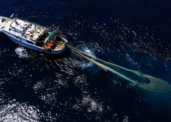 Italian industry welcomes Blue Bill