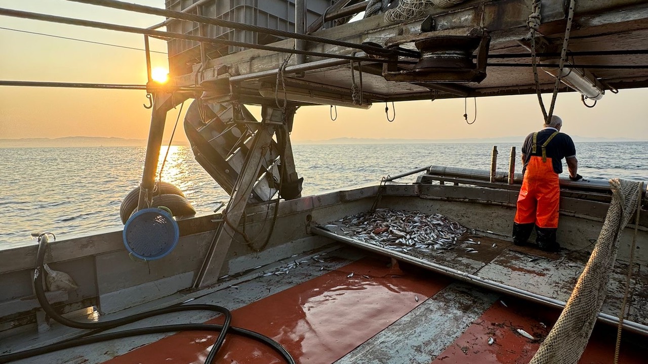 Read more about the article Commissioner told to lift obstacles to modernisation