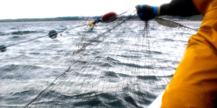 Filey’s netting fishery is threatened by new Environment agency rules - @ Fiskerforum