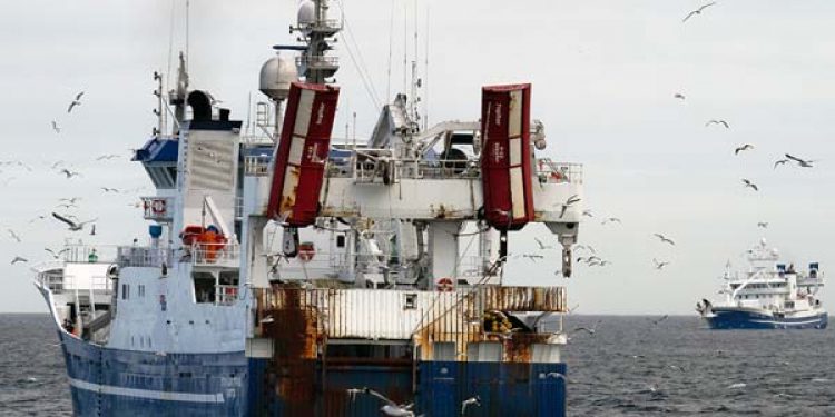 More Mackerel and Herring in Faroese waters.  Photo: Finnur Fridi - Michael Leek - @ Fiskerforum