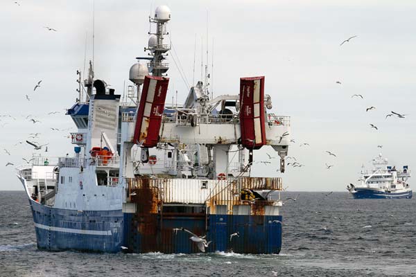 Read more about the article More Mackerel and Herring in Faroese waters