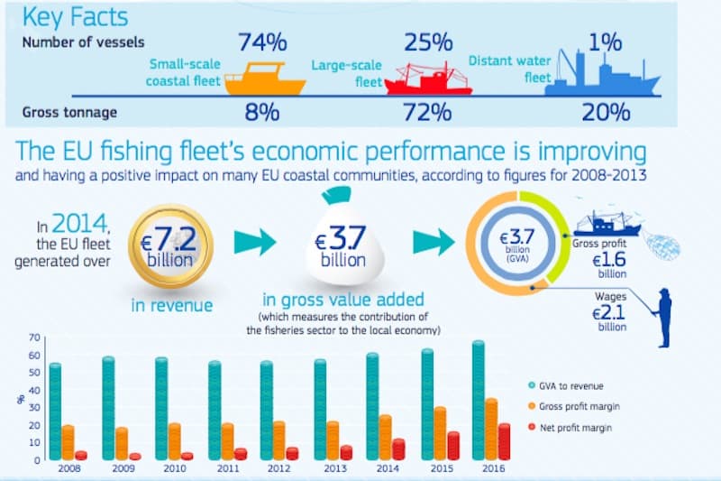 Read more about the article Positive economic trends in EU fishing fleet