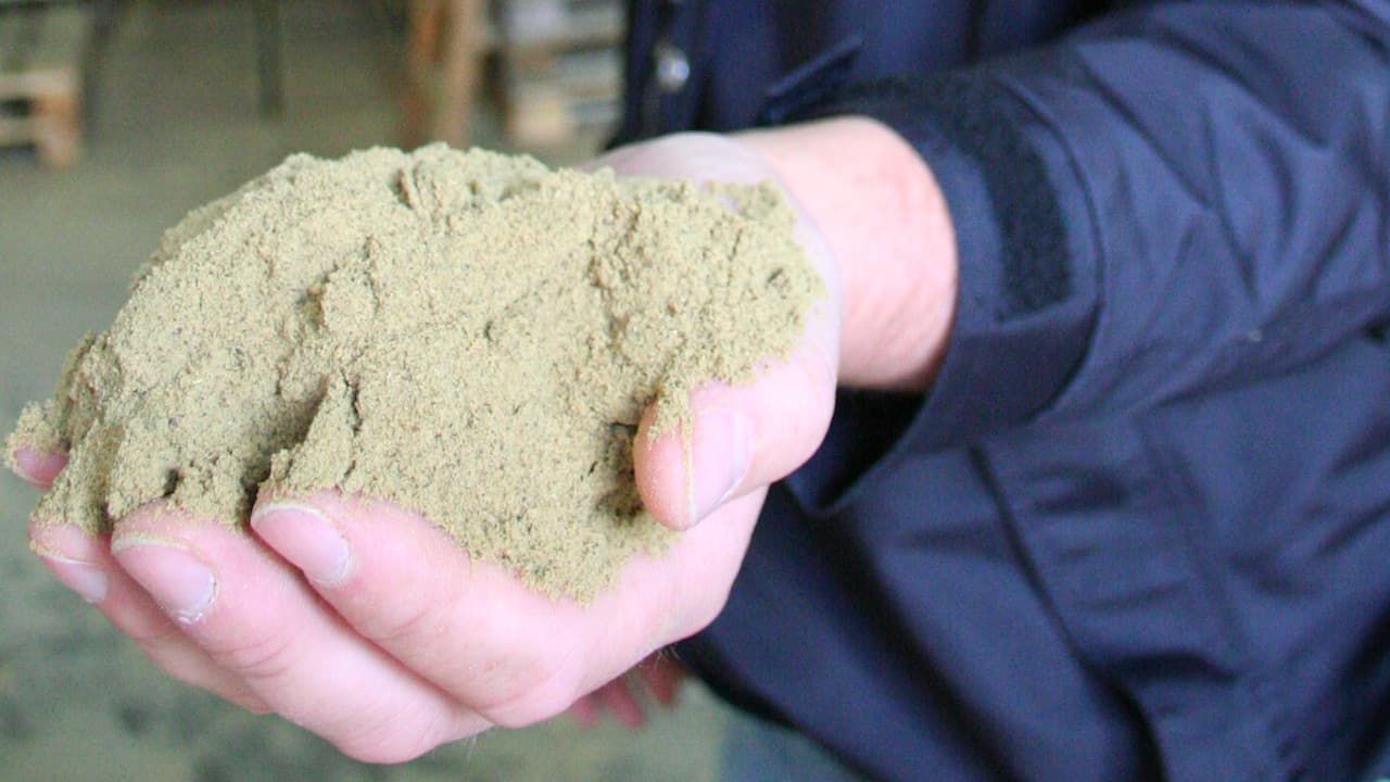 Read more about the article January fishmeal and fish oil production up