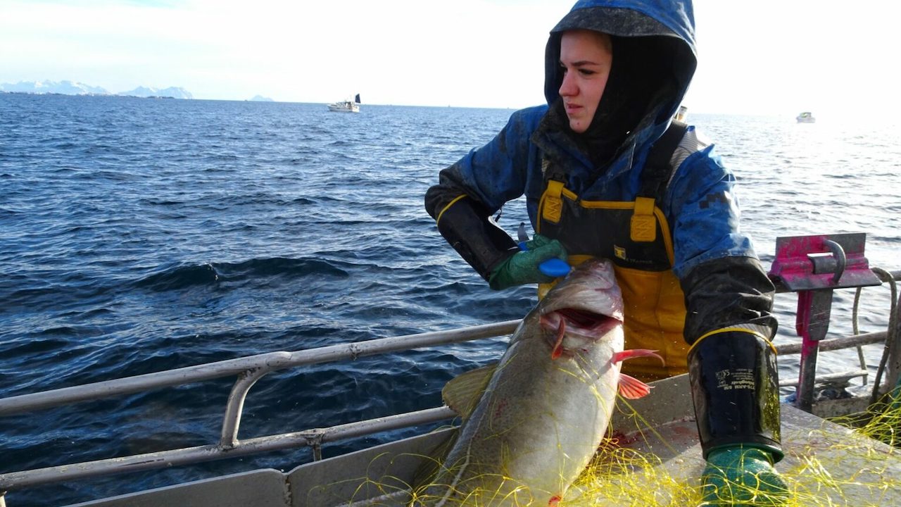 Read more about the article Breaking down fishing’s gender gap