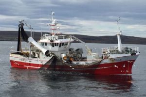 Fiskebåt has requested that regulations for coastal pelagic vessels should be adjusted - @ Fiskerforum