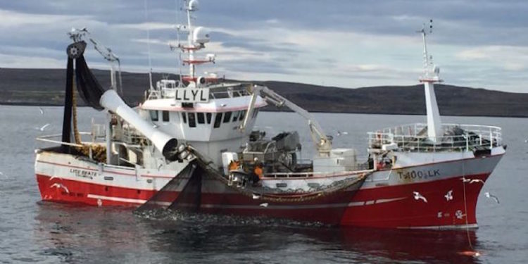 Fiskebåt has requested that regulations for coastal pelagic vessels should be adjusted - @ Fiskerforum