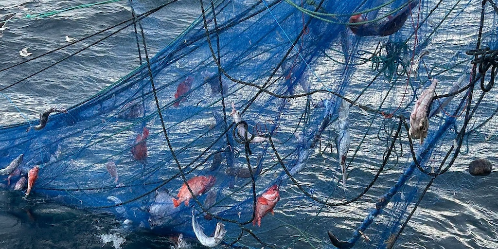Read more about the article Seabed cleanup underway