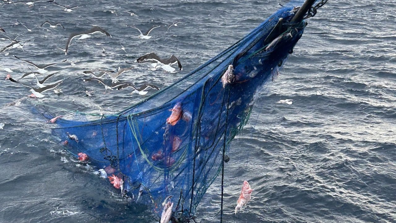 Read more about the article Gearing up for seabed clean-up