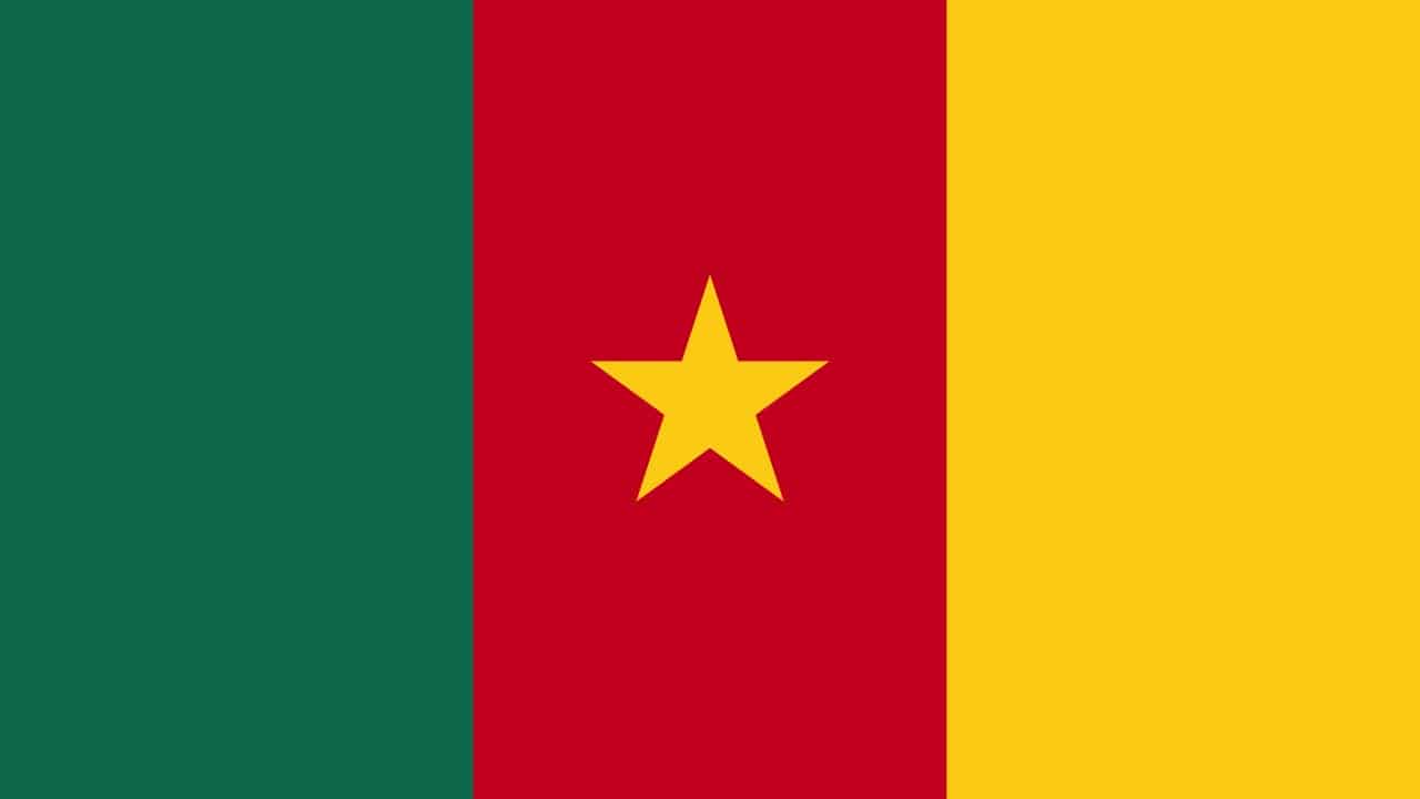 Read more about the article Cameroon gets EU yellow card