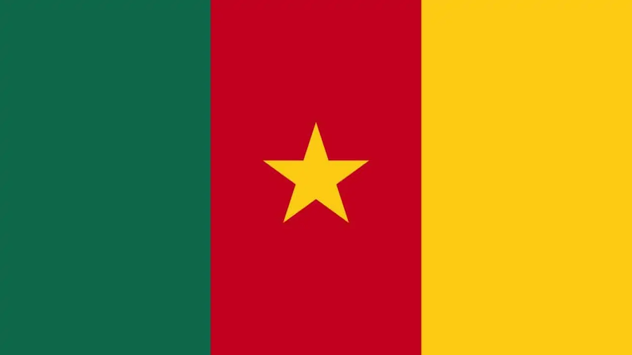 Read more about the article Cameroon gets EU yellow card
