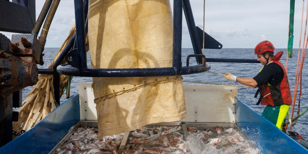 Read more about the article FloMo trawl gear evaluated in UK trial