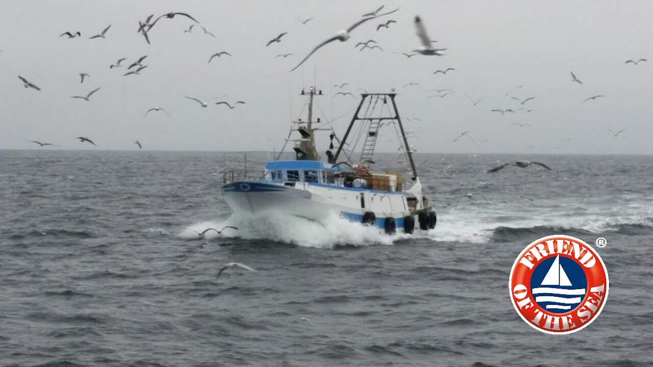 Read more about the article FoS certification for five Chilean freezer trawlers