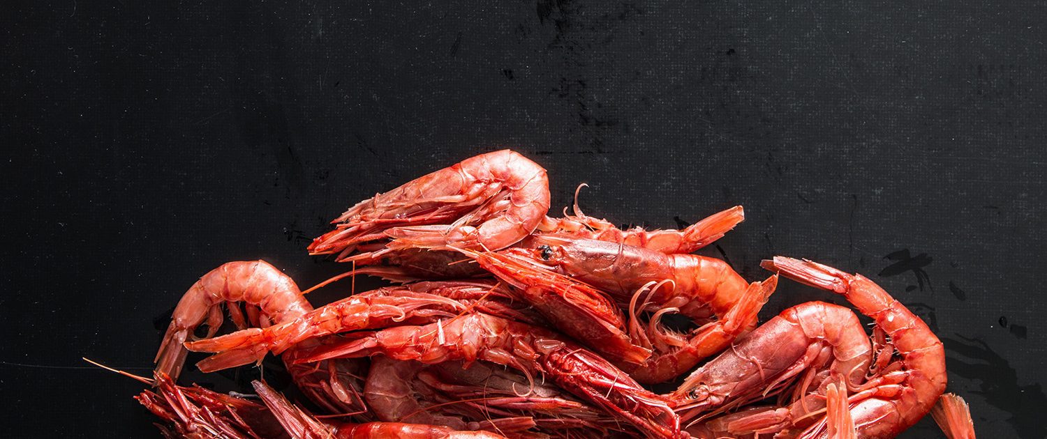 Read more about the article Value boost in red prawn extract
