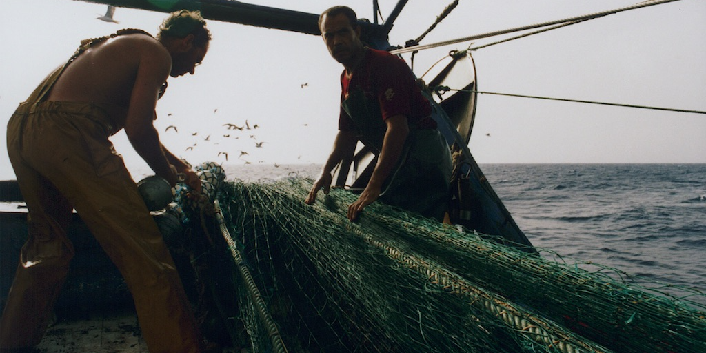 Read more about the article EU Parliament makes strong call to revise Western Med plan