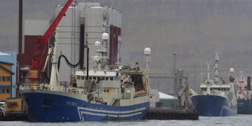 Explanations wanted for capelin price difference