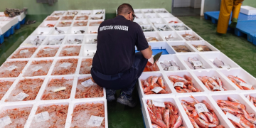 A decade on: How Port State Measures are locking IUU catches out of markets