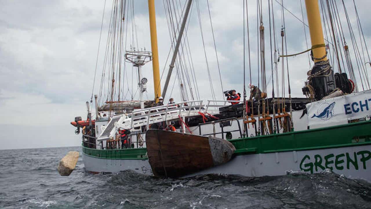 Read more about the article Time to take a stand on Greenpeace vigilantes