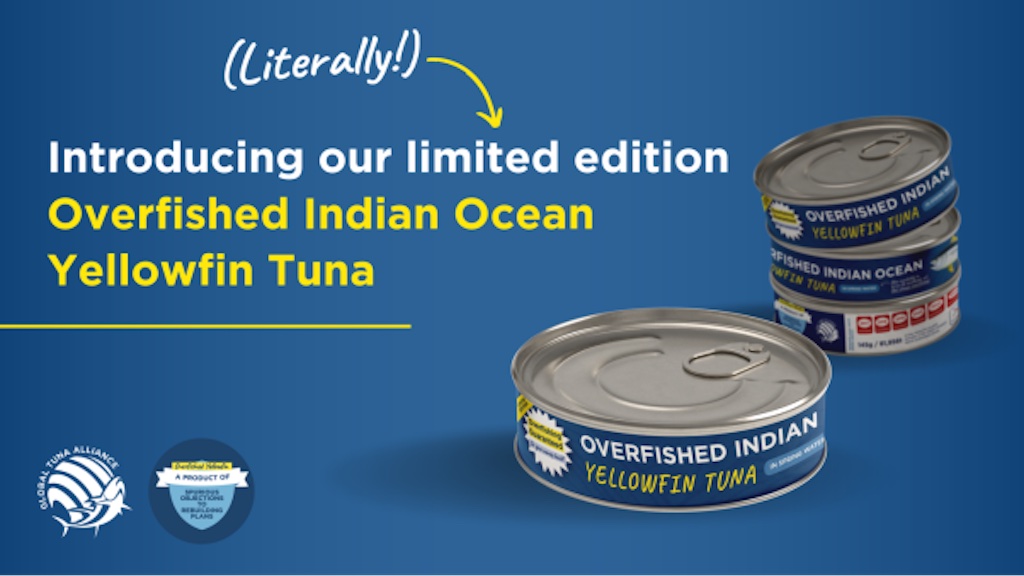 Read more about the article Highlighting overfished Indian Ocean yellowfin