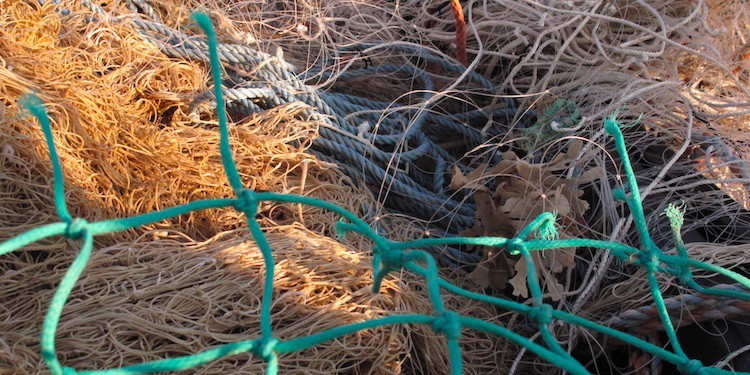 Read more about the article Wales rolls out fishing gear recycling