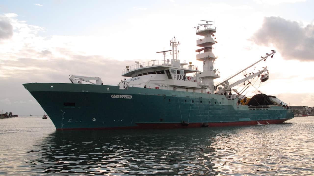 Read more about the article Future of tropical tuna fishery in Europe’s hands