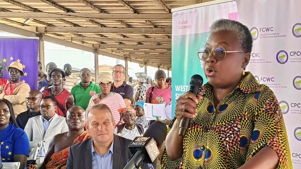 Read more about the article West Africa Sustainable Ocean Programme launched