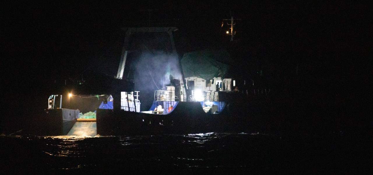 Read more about the article Ghana re-licenses repeat poacher