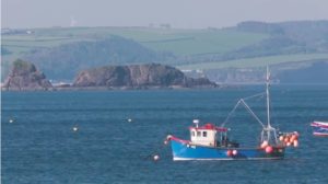 Inshore boats of the Pembrokeshire coast - @ Fiskerforum