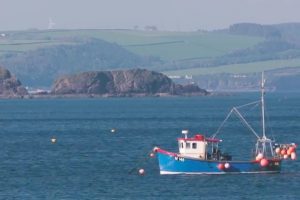 Inshore boats of the Pembrokeshire coast - @ Fiskerforum