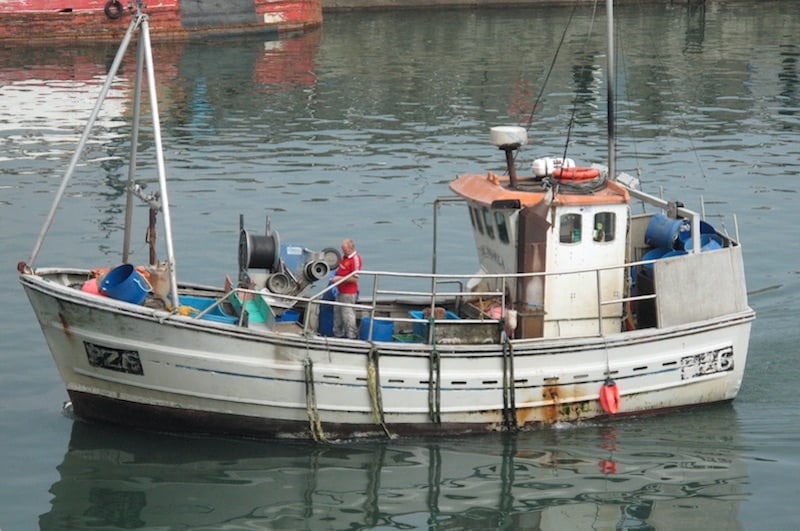Read more about the article UK fisheries inquiry launched