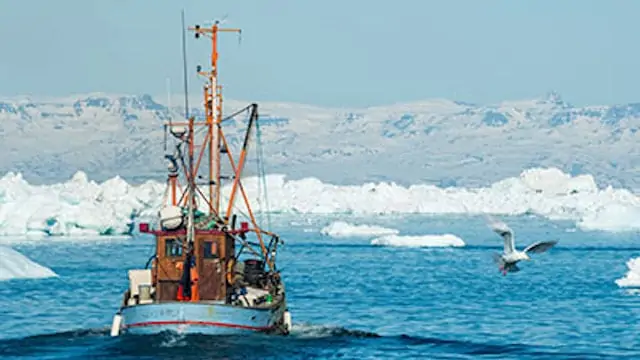 Read more about the article EU and Greenland strike fisheries agreement