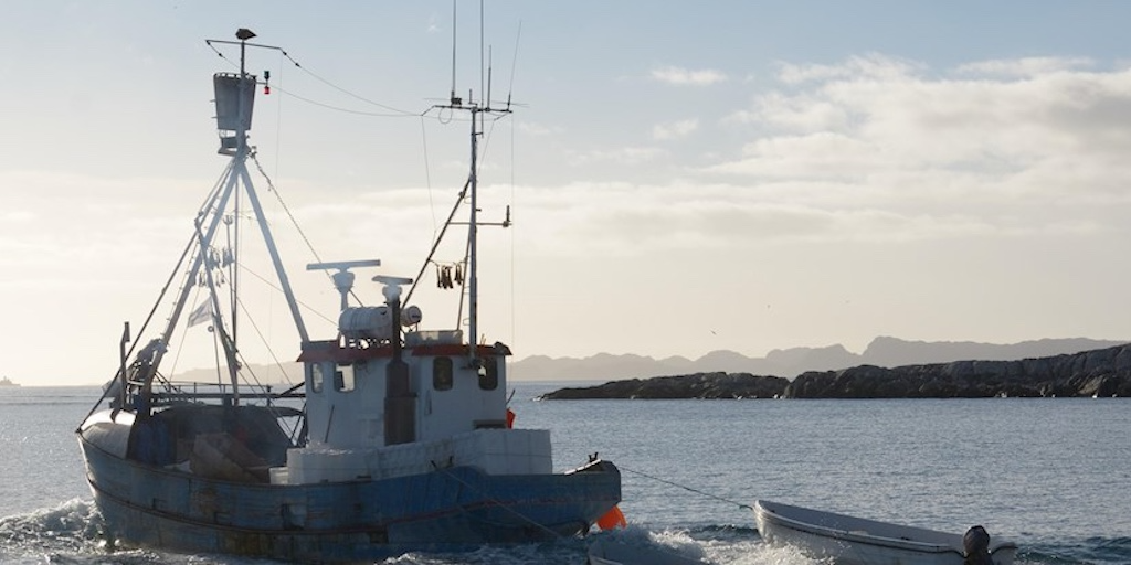 Read more about the article Greenland cancels quota offers – opens new
