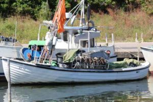 HO 12 –  Kvik – ©FiskerForum - Foto: H.Hansen