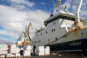 Ögurvík trawler Vigri landing in Reykjavík - @ Fiskerforum