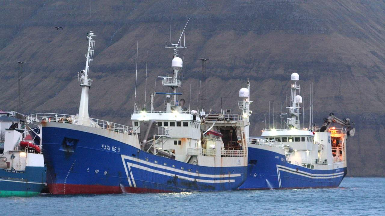 Read more about the article Irish industry slams stealth deal with Iceland
